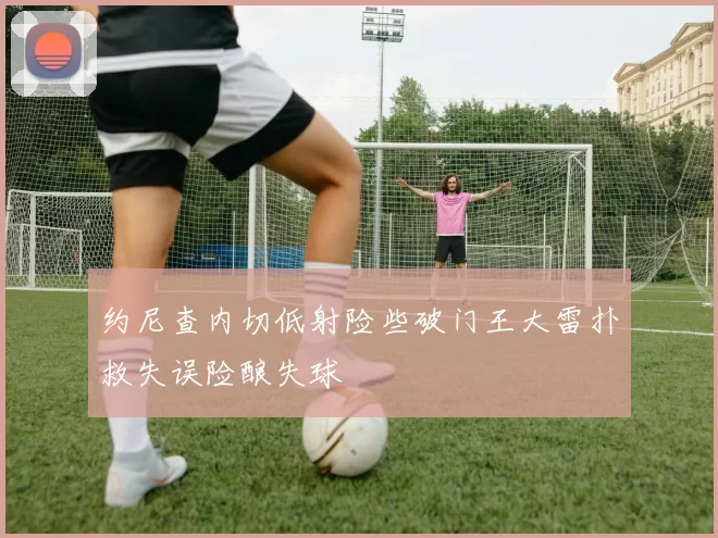 约尼查内切低射险些破门王大雷扑救失误险酿失球
