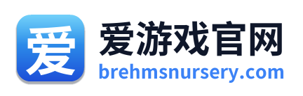 爱游戏官网 Logo